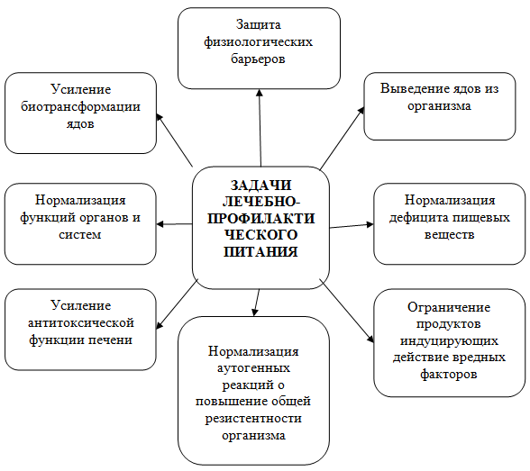 Организация лечебного питания в стационаре схема